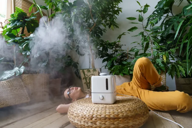 humidifier purifying the indoor air
