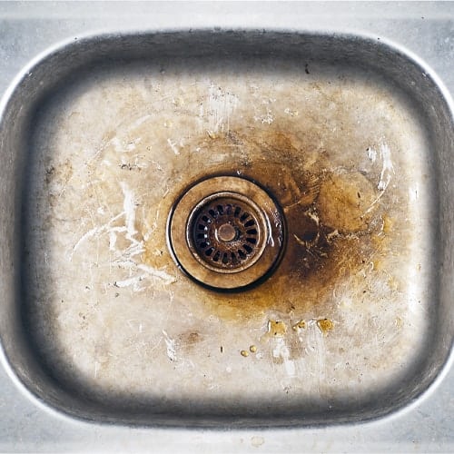 Biofilm can stick to common surfaces