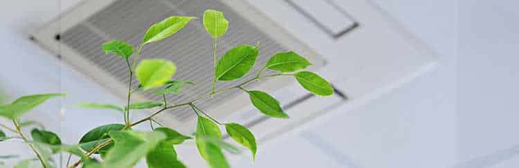 indoor-air-quality