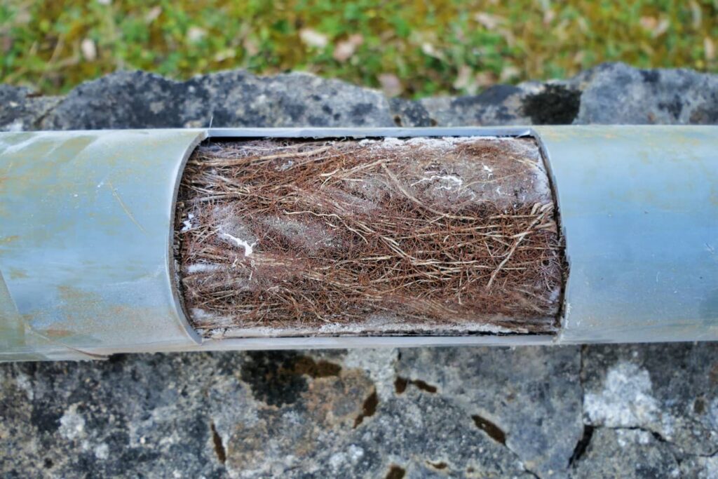 root-killer-for-drains